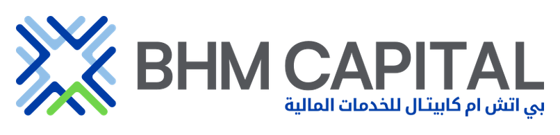 BHM Capital Financial Services logo