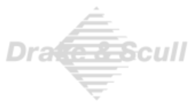 Drake & Scull International logo