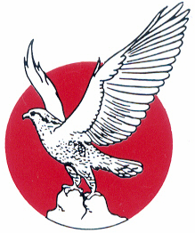 National Cement Company logo