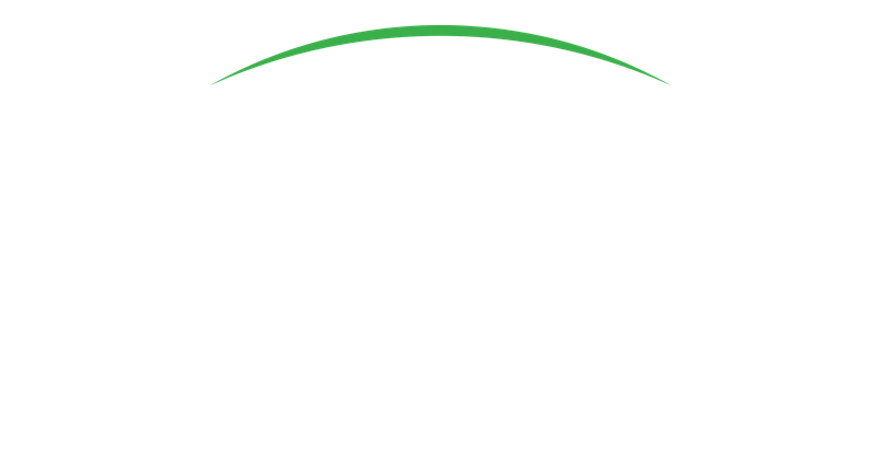National General Insurance logo