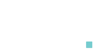 The Dental Studio logo