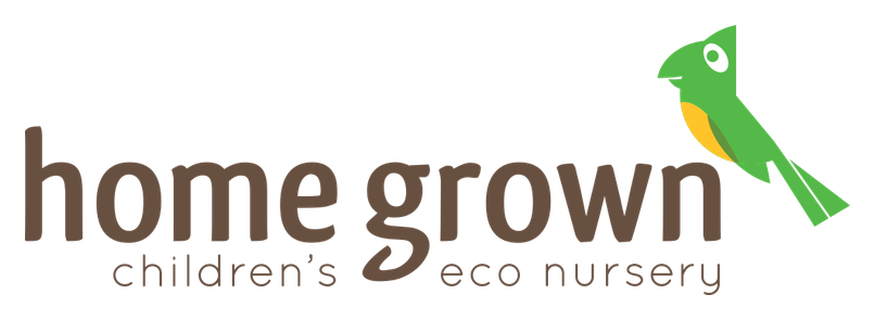 Home Grown Children's Eco Nursery logo